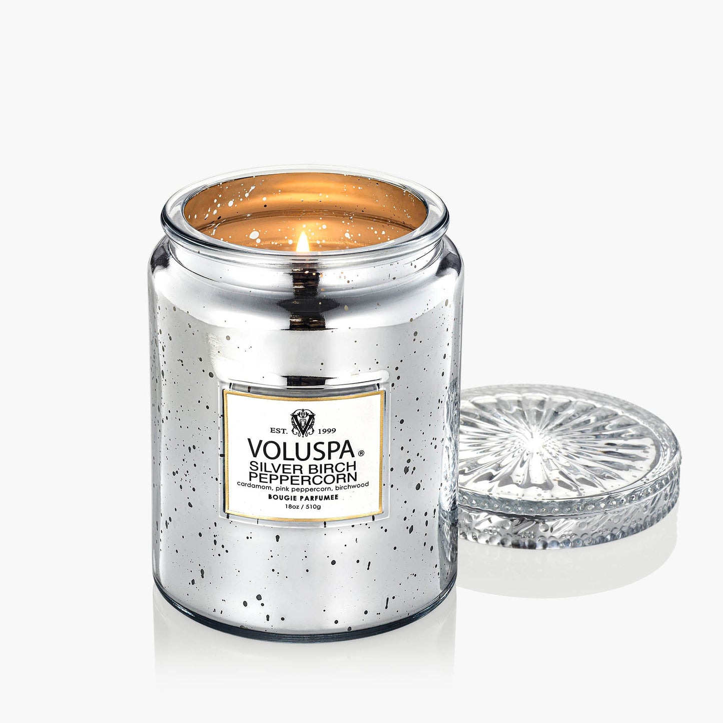 Silver Birch Peppercorn - Large Jar Candle