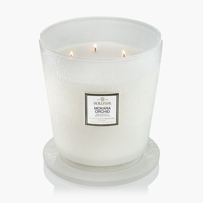 Mokara Orchid - 5 Wick Hearth Candle