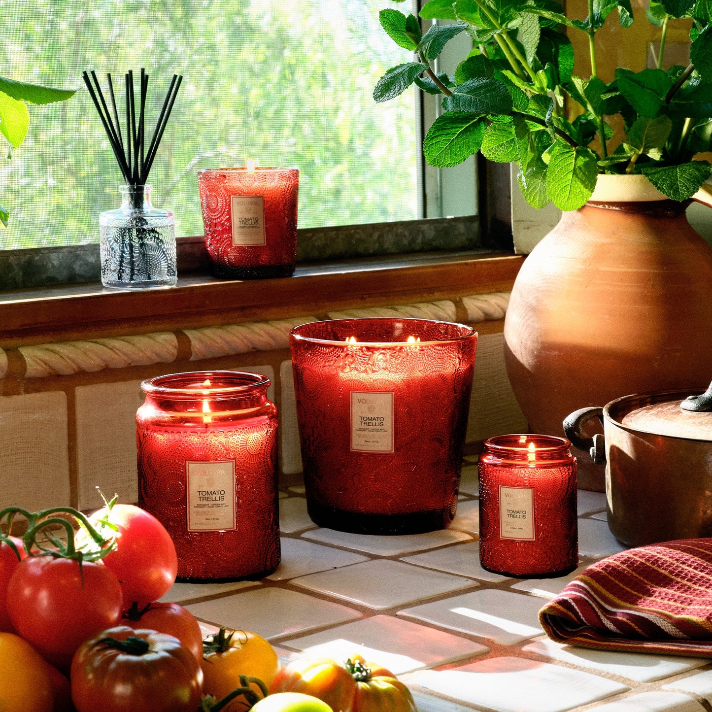 Tomato Trellis - Large Jar Candle