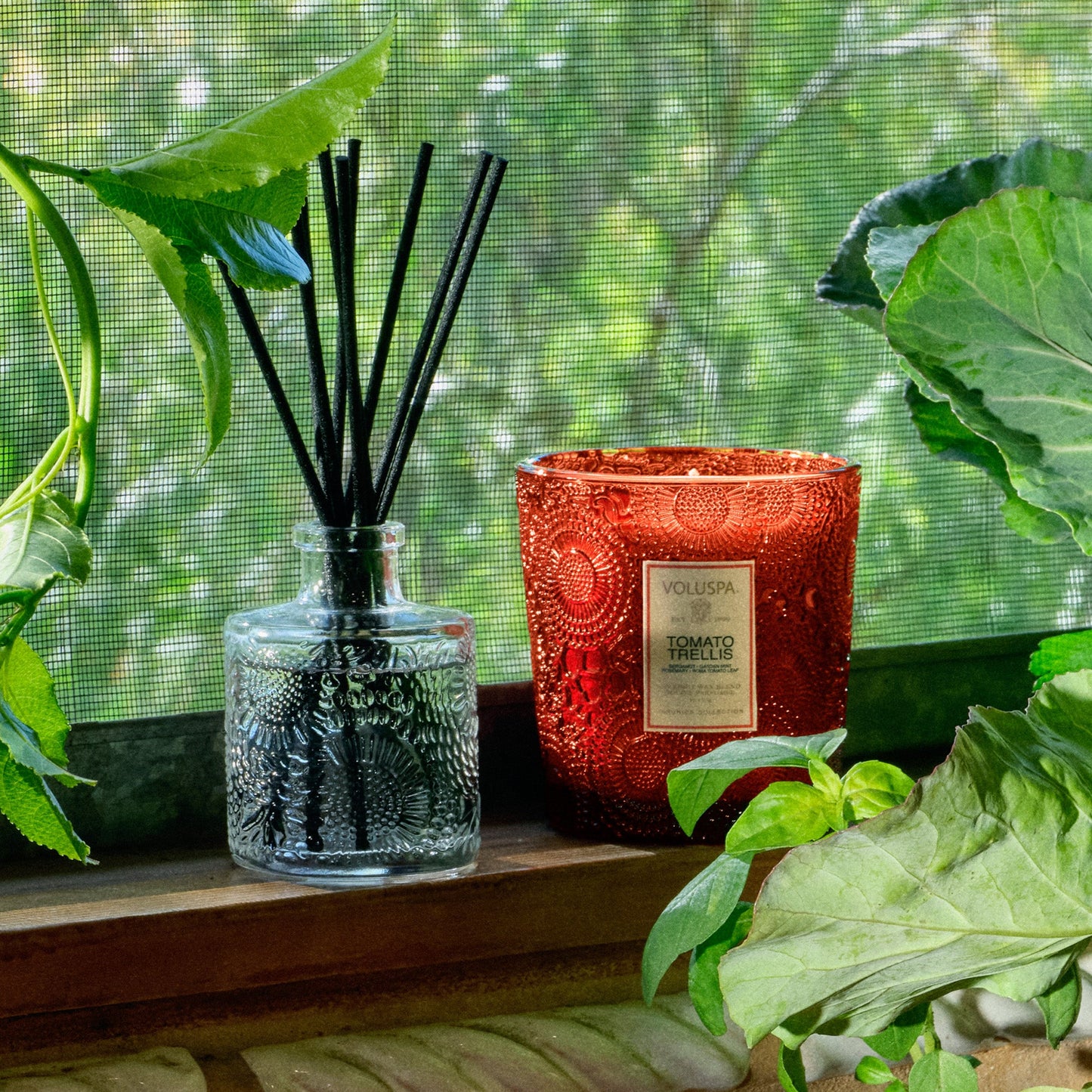 Tomato Trellis - Classic Candle