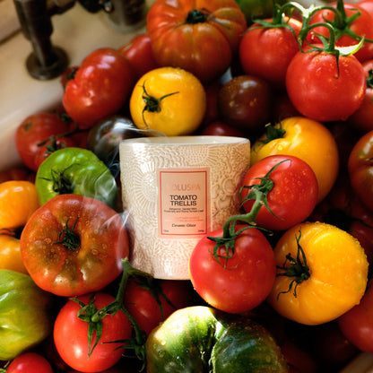 Tomato Trellis - Ceramic Luxe Classic Candle