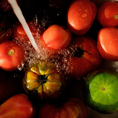 Tomato Trellis - Small Jar Candle