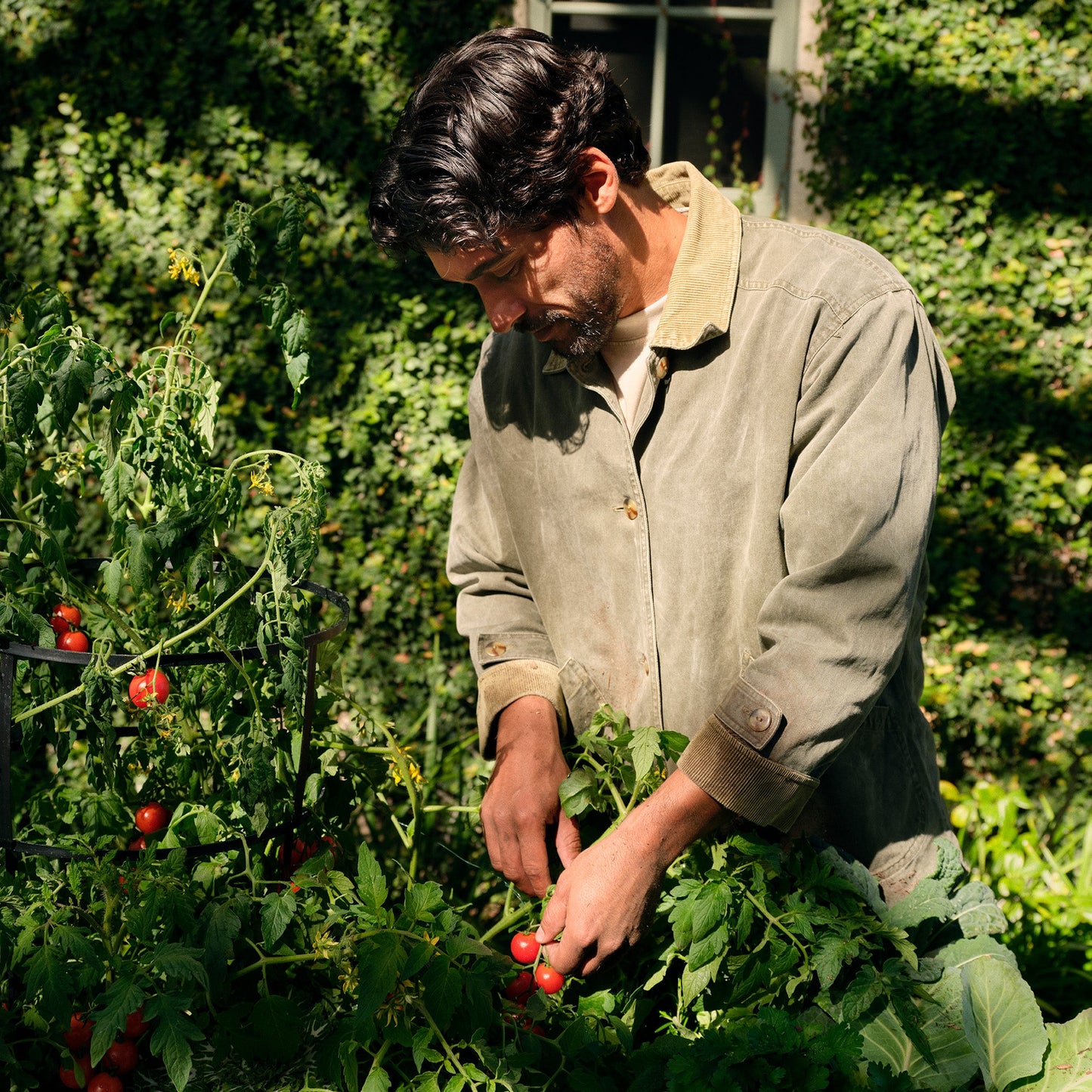 Tomato Trellis - Room Spray